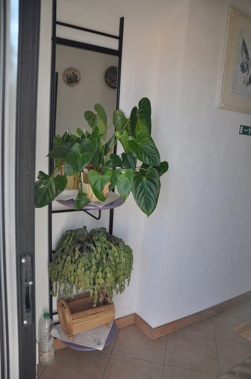 Franko Apartmani ザンブラティヤ エクステリア 写真